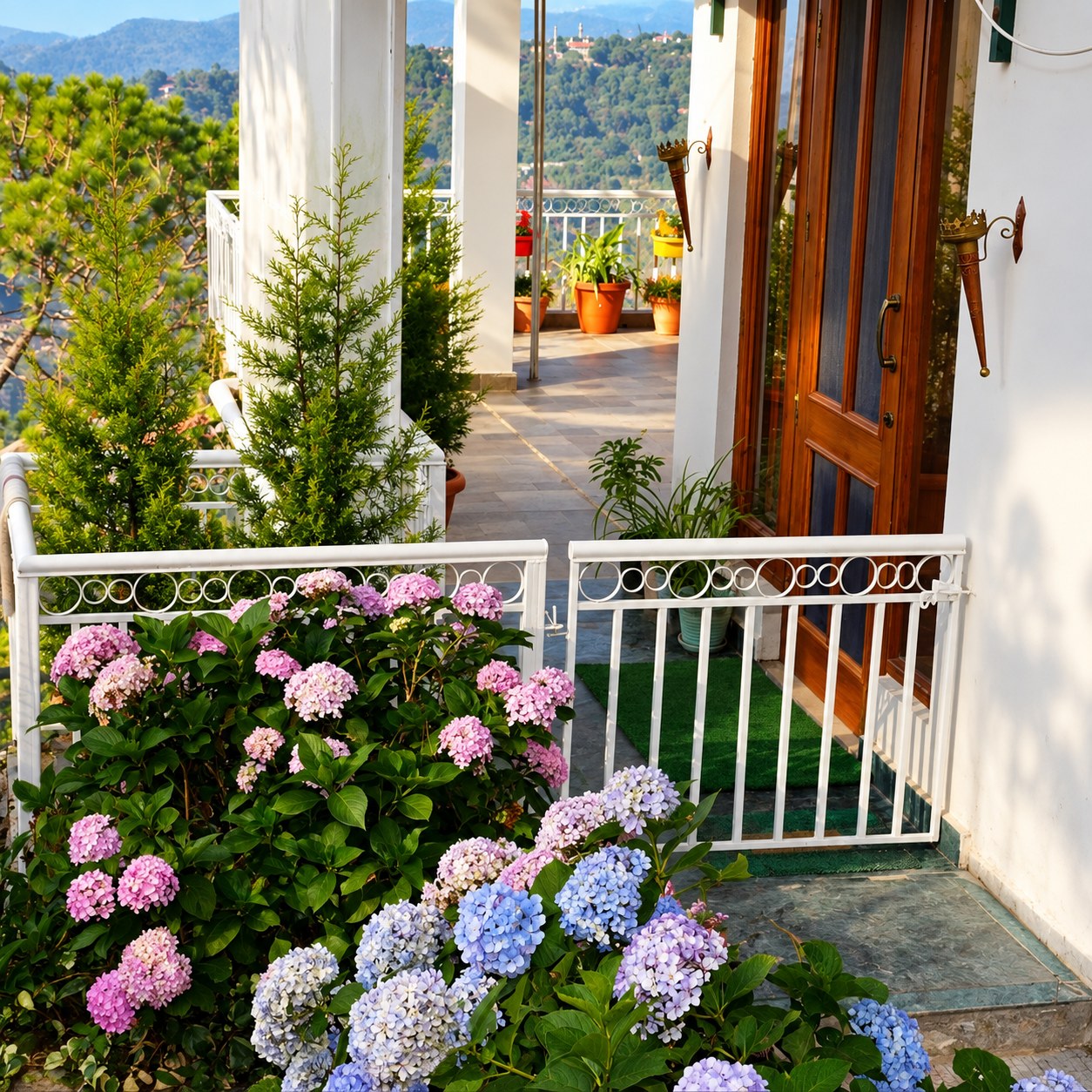 Balcony & valley view